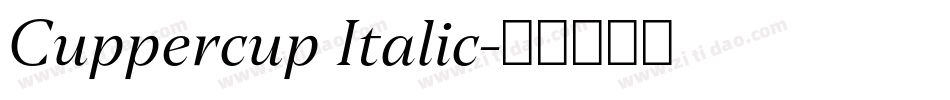 Cuppercup Italic字体转换